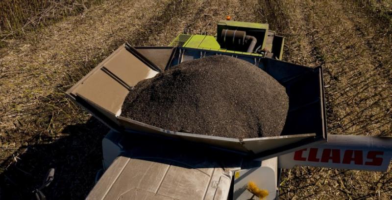 Українські аграрії намолотили майже 12 млн т соняшника