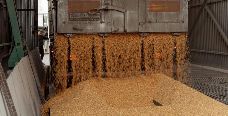 За перший тиждень нового року аграрії експортували понад мільйон тонн зернових