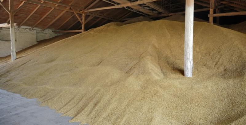 Міжнародні партнери нададуть 270 млн грн на розвиток потужностей з доробки та зберігання зерна