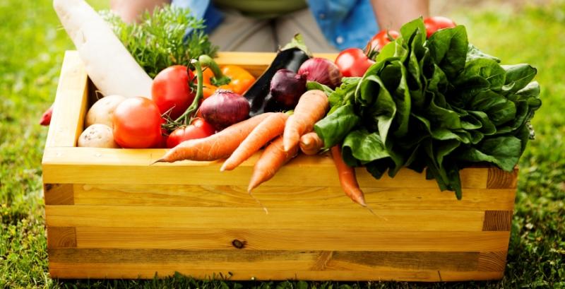 Виробники органічної продукції можуть отримати фінансову допомогу від USAID Виробники органічної продукції можуть отримати фінансову допомогу від USAID