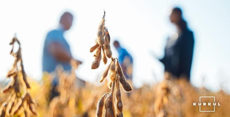 70% українських аграріїв збільшать посіви сої, — опитування