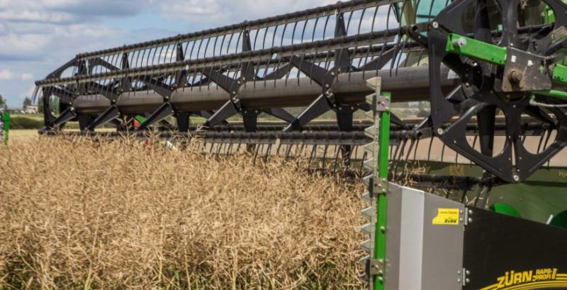 В ЄС росте попит на український ріпак врожаю 2024