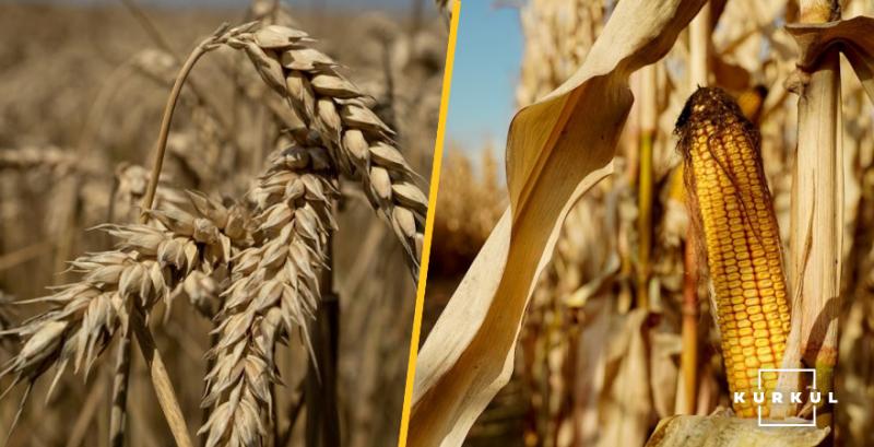 У лютому знизились світові ціни на всі основні зернові культури
