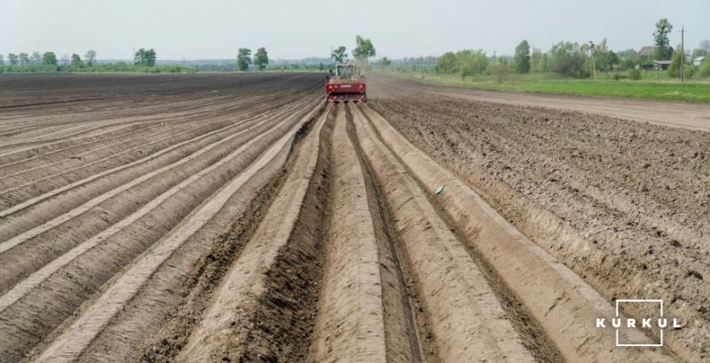 Картоплярство в Україні під загрозою — виробник розповів про виклики галузі