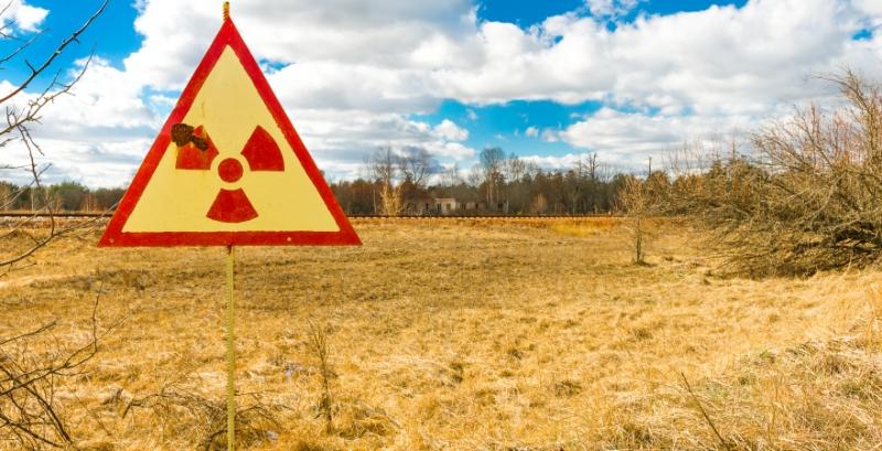 У Чорнобильській зоні виявили незаконне розорювання земель для с/г робіт