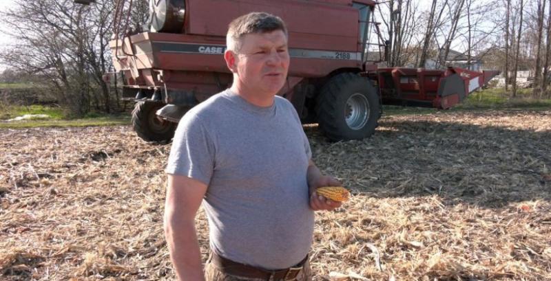 На Черкащині паралельно із посівною збирають торішню кукурудзу