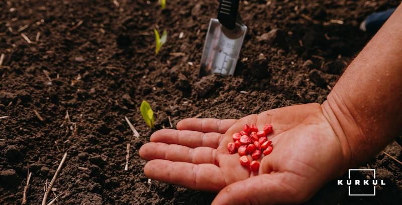 Фермерам пропонують вексельне фінансування під 1% на придбання ЗЗР та насіння