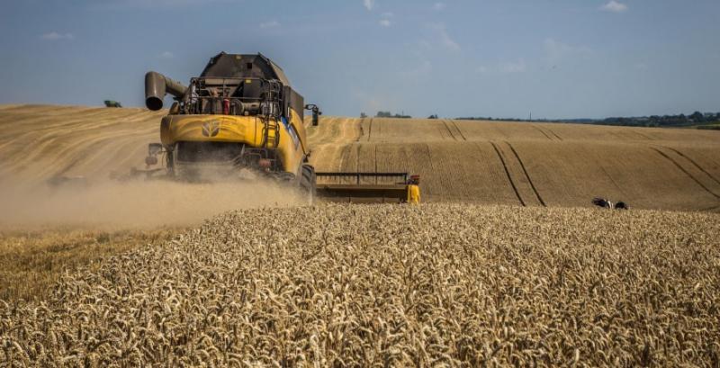 В США стартували жнива озимої пшениці