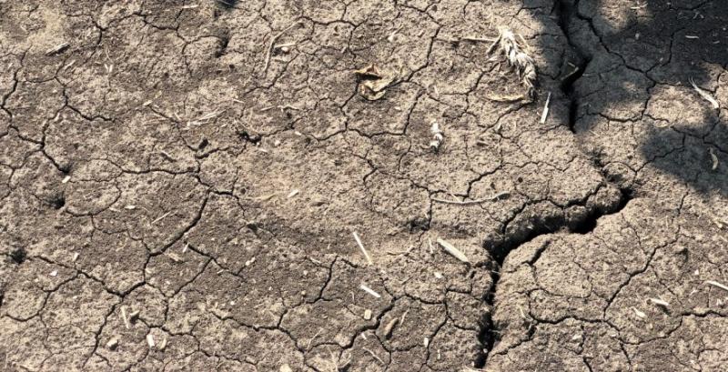 На Сході та Півдні посилюється ґрунтова посуха — Укргідрометцентр