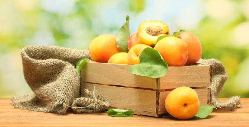 Садівники почали продавати перші партії абрикосів на третину дешевше, ніж торік