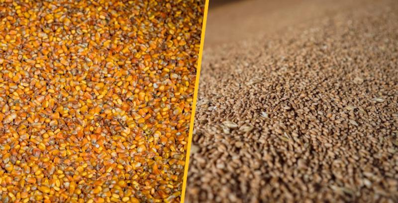 Експорт зернових та зернобобових досяг майже 50 млн т
