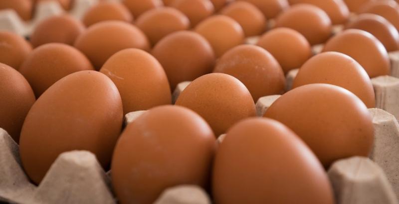 Україна майже вичерпала квоту на експорт яєць до ЄС