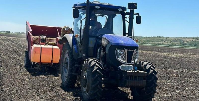 На Миколаївщині висаджують картоплю другого обороту