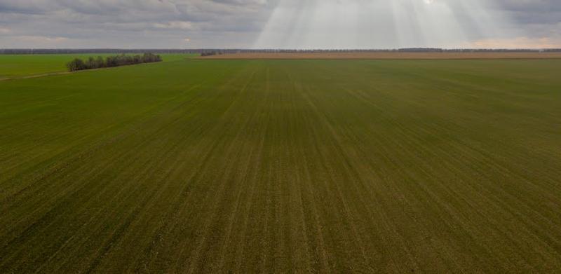 Перші торги державними землями розпочнуться наприкінці серпня