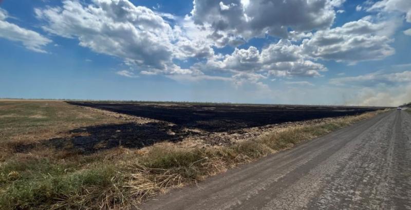 На Одещині аграрію загрожує до 5 років позбавлення волі за спалювання стерні