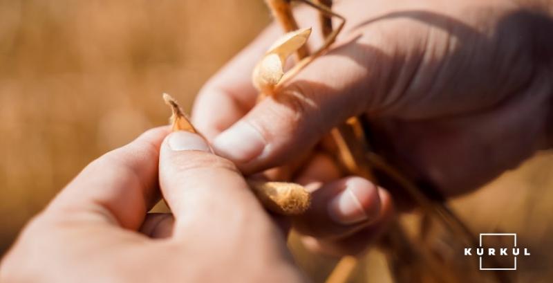 Експерт розповів про проблеми при експорті сої поточного сезону