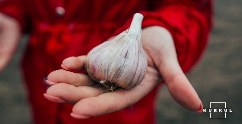 Ціни на часник досягли рекордних 200 грн за кг Ціни на часник досягли рекордних 200 грн за кг