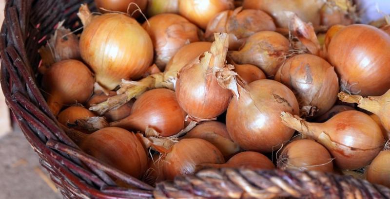 Фермери змушені розпродувати цибулю через погіршення якості