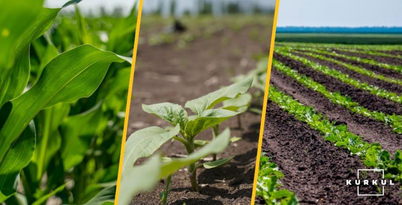 На Вінниччині планують збільшити посіви кукурудзи, соняшника та цукрових буряків На Вінниччині планують збільшити посіви кукурудзи, соняшника та цукрових буряків
