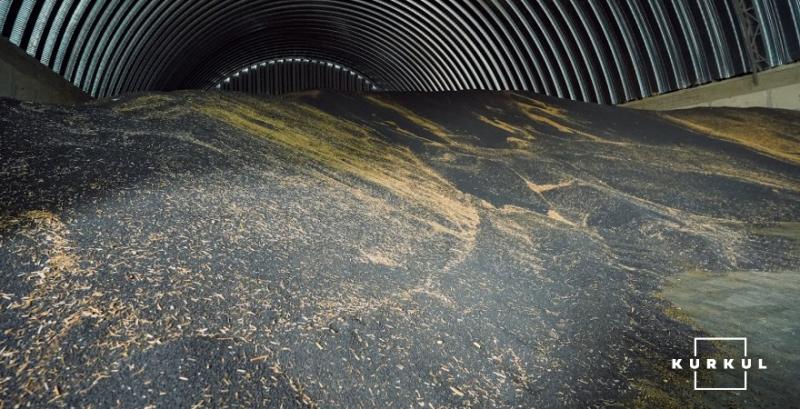 Сезон для українського ринку ріпаку майже завершився — аналітики Сезон для українського ринку ріпаку майже завершився — аналітики