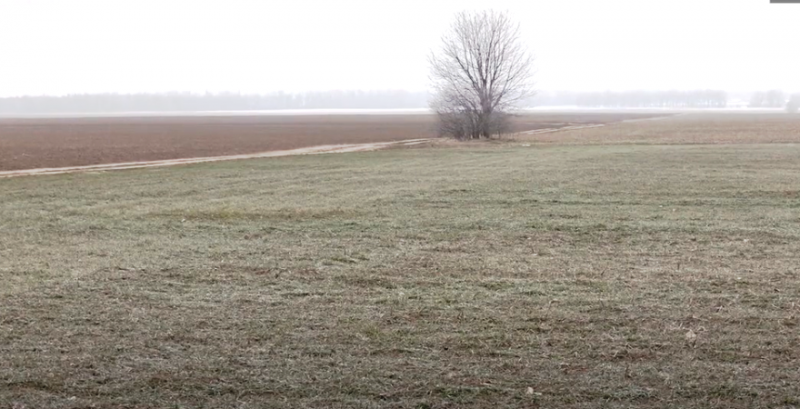 Весняна посівна на Вінниччині розпочнеться в березні — Корнійчук Весняна посівна на Вінниччині розпочнеться в березні — Корнійчук