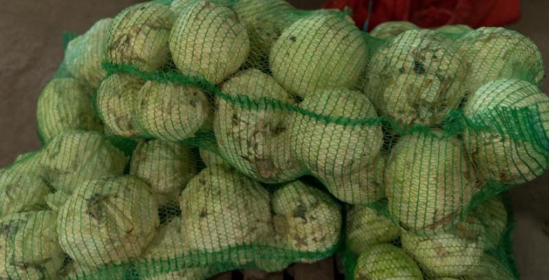 Ціни на торішню капусту б'ють рекорди