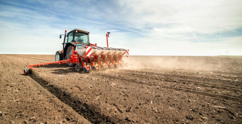 На Вінниччині розпочалась посівна пізніх зернових — проса та гречки На Вінниччині розпочалась посівна пізніх зернових — проса та гречки