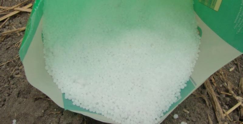 Фермерам Сумщини нададуть ваучери на придбання насіння та добрив Фермерам Сумщини нададуть ваучери на придбання насіння та добрив