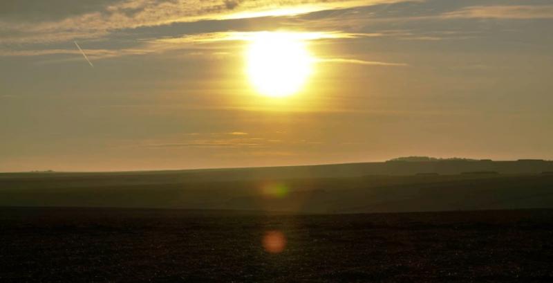 Фермери та агрокомпанії залишаються основними покупцями сільгоспземель