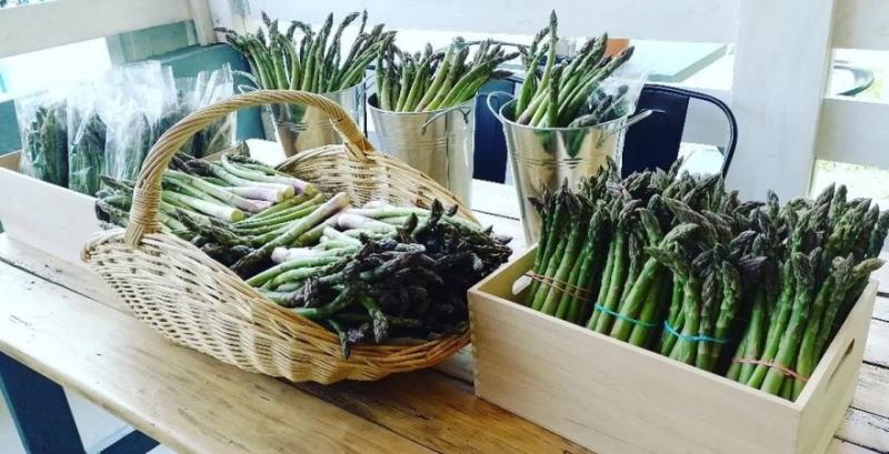 Ніша спаржі в Україні поки не заповнена, попит переважає пропозицію — фермер