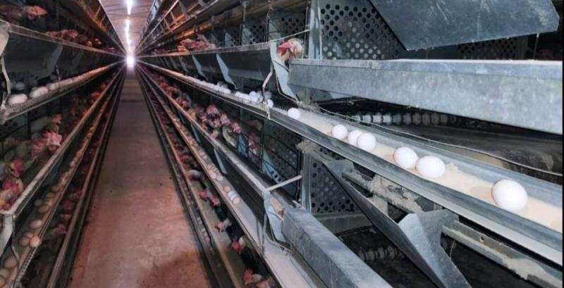 Релокована з Донеччини птахофабрика планує збудувати на Вінниччині біогазовий завод Релокована з Донеччини птахофабрика планує збудувати на Вінниччині біогазовий завод