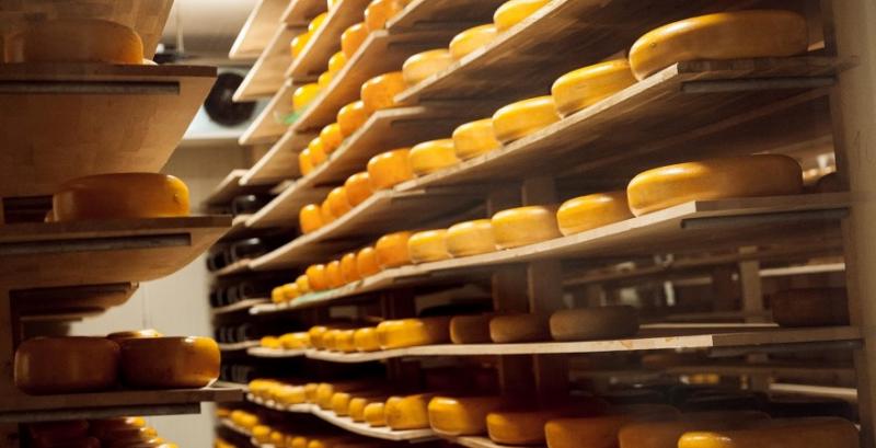 Частка імпорту сиру до кінця 2026 року може перевищити 60%