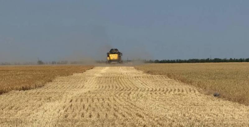 На Миколаївщині стартували жнива ячменю