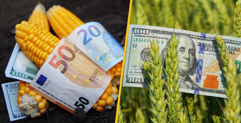 Попит на новий врожай зернових росте, однак аграрії утримуються від укладання форвардів