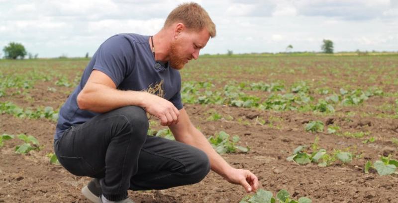На Миколаївщині ветеран відновлює пошкоджене росіянами господарство На Миколаївщині ветеран відновлює пошкоджене росіянами господарство
