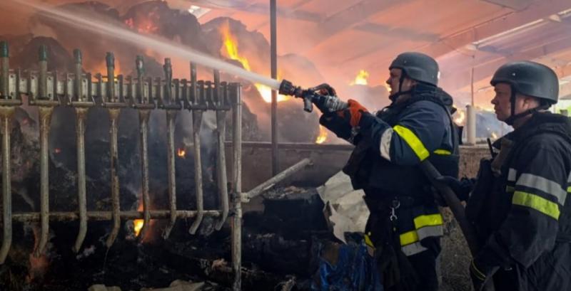 На Харківщині росіяни обстріляли агропідприємство: постраждали люди та загинули тварини