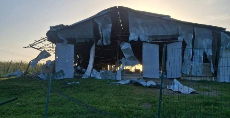 Постраждала від російських обстрілів страусина ферма Постраждала від російських обстрілів страусина ферма