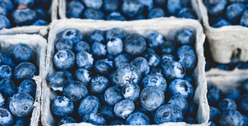 Сезон лохини стартував із вищих цін, ніж торік