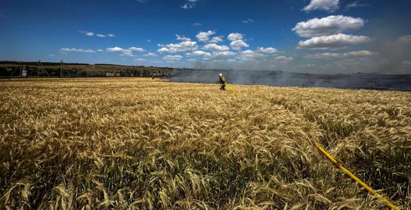Пожежа на полі пшениці