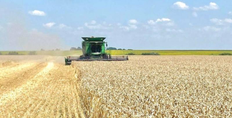 Жнива 2025 на Кіровоградщині