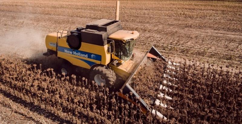 Соняшник врожаю 2025 подорожчав до $580-590/т