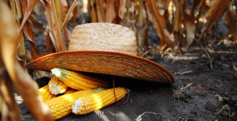 Agritechnica 2025 збере молодих агроспеціалістів Agritechnica 2025 збере молодих агроспеціалістів