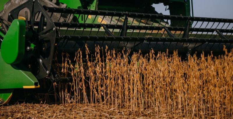 Погодні фактори можуть змістити початок жнив сої — аналітики Погодні фактори можуть змістити початок жнив сої — аналітики