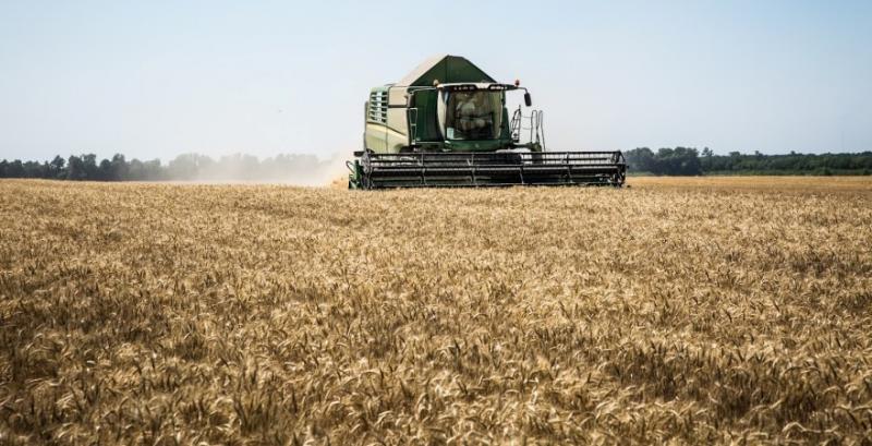 Аграрії намолотили понад 20 млн т зернових та ріпаку