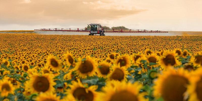 Якість води може знизити ефективність найдорожчих препаратів — поради фахівців Якість води може знизити ефективність найдорожчих препаратів — поради фахівців
