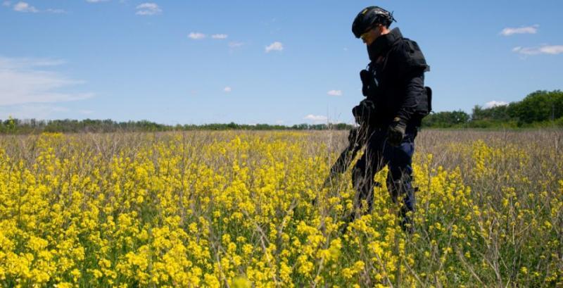 У липні оператори розмінування повернули до використання 330 га агроземель