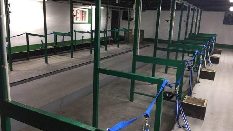 Новий корівник