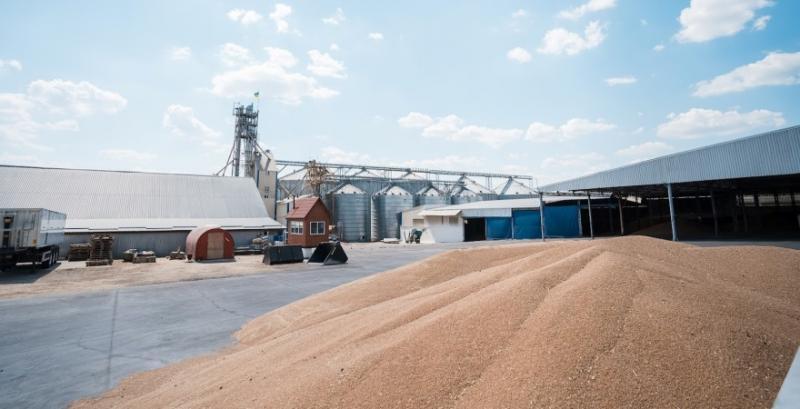 Україна експортує зерно до 54 країн світу