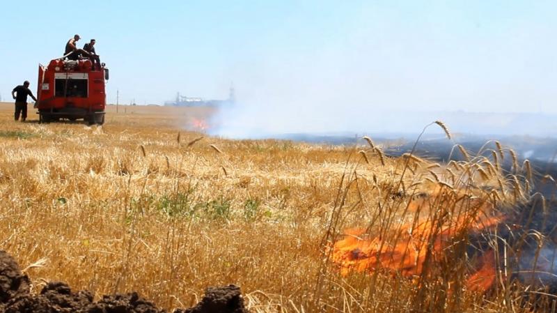 Палії трави призводять до масштабних пожеж на Дніпропетровщині