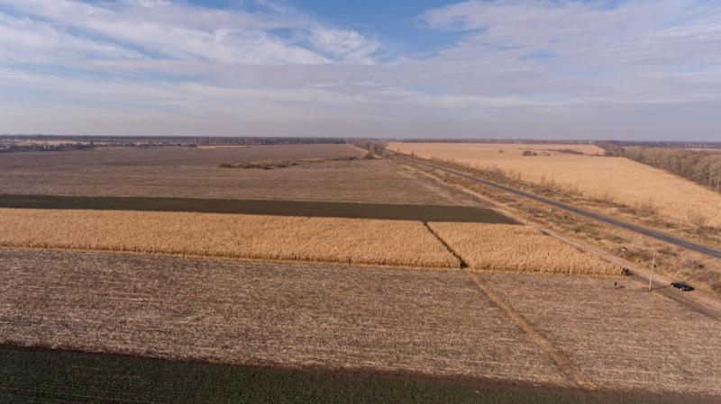 Колишні працівники Держгеокадастру розікрали 500 га земель на Дніпропетровщині Колишні працівники Держгеокадастру розікрали 500 га земель на Дніпропетровщині